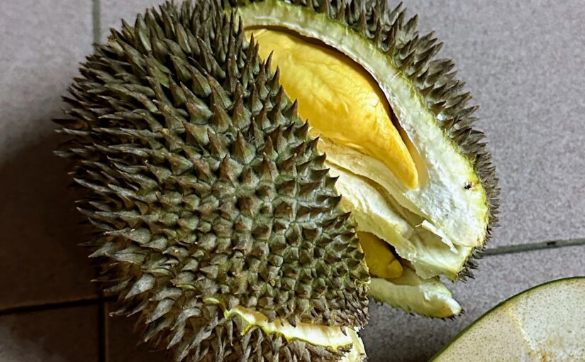 ドリアン（Durian）